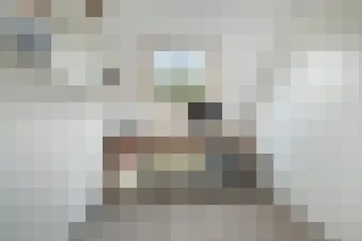 Papegaai 33 Breda thumbnail 33