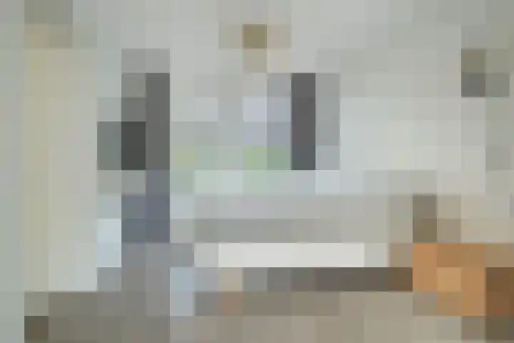 Papegaai 33 Breda thumbnail 34