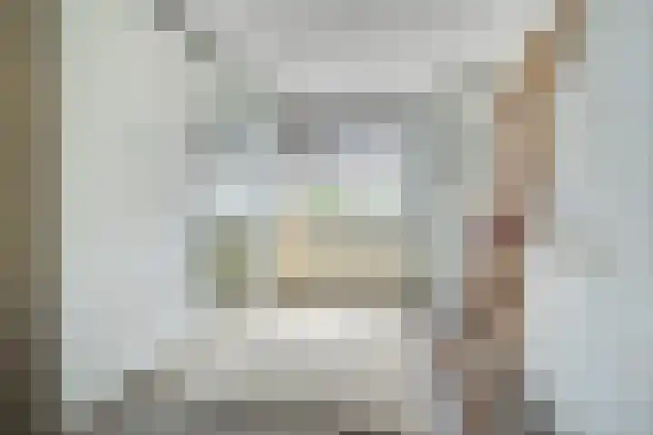 Papegaai 33 Breda thumbnail 35