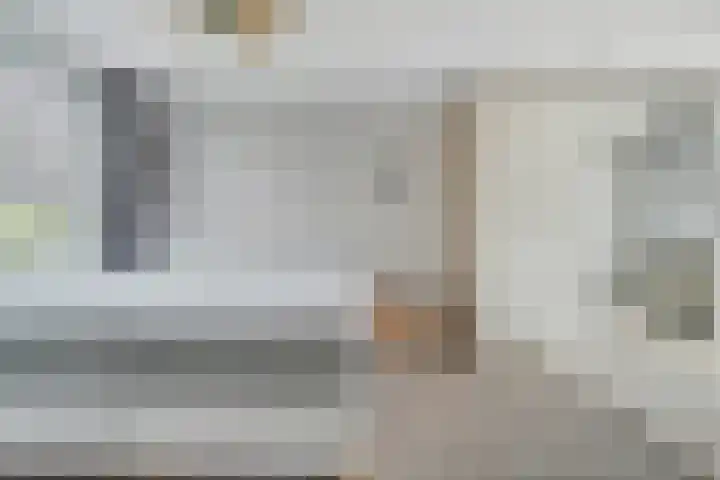 Papegaai 33 Breda thumbnail 36