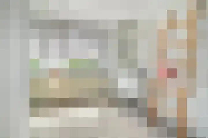 Papegaai 33 Breda thumbnail 37