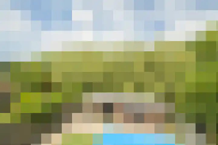 Papegaai 33 Breda thumbnail 39