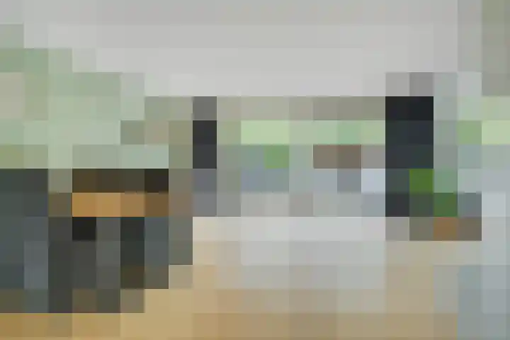 Papegaai 33 Breda thumbnail 4
