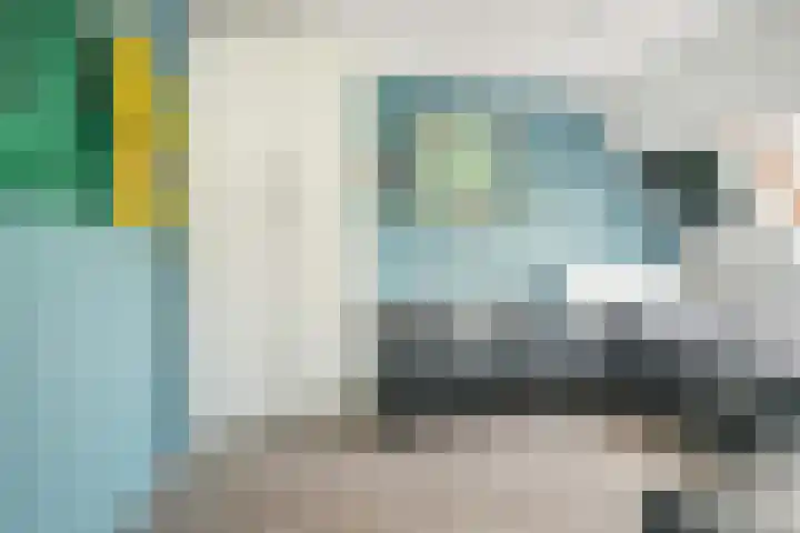 Papegaai 33 Breda thumbnail 40