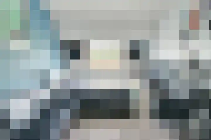 Papegaai 33 Breda thumbnail 41