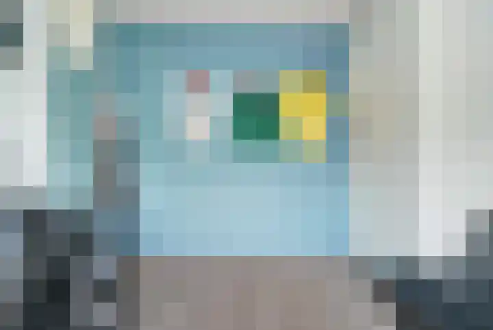Papegaai 33 Breda thumbnail 42