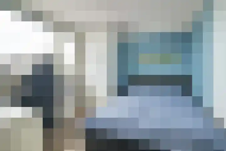 Papegaai 33 Breda thumbnail 43