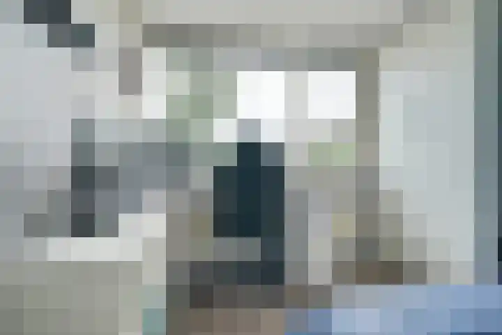 Papegaai 33 Breda thumbnail 44