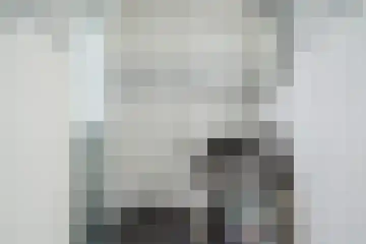 Papegaai 33 Breda thumbnail 46