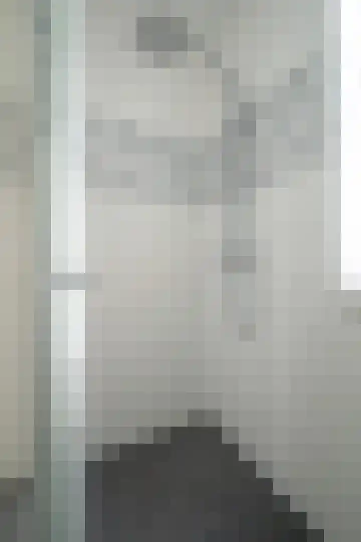 Papegaai 33 Breda thumbnail 48