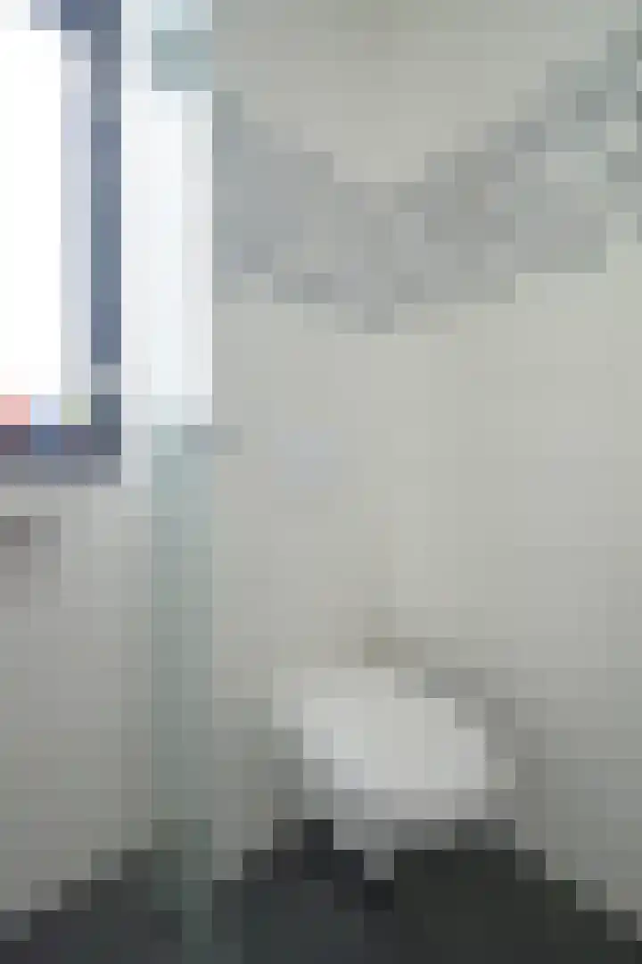 Papegaai 33 Breda thumbnail 49