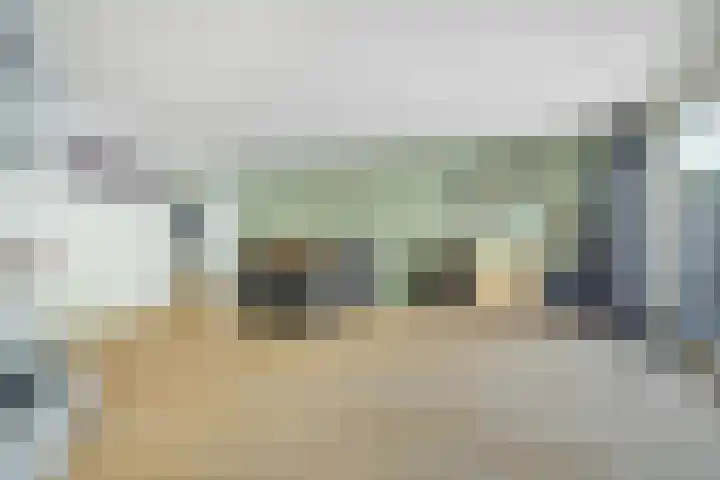 Papegaai 33 Breda thumbnail 5