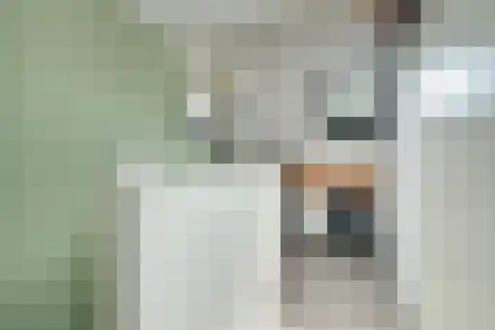 Papegaai 33 Breda thumbnail 51