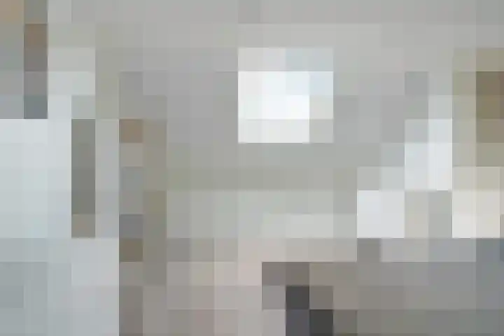 Papegaai 33 Breda thumbnail 53