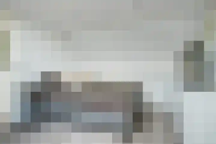 Papegaai 33 Breda thumbnail 54