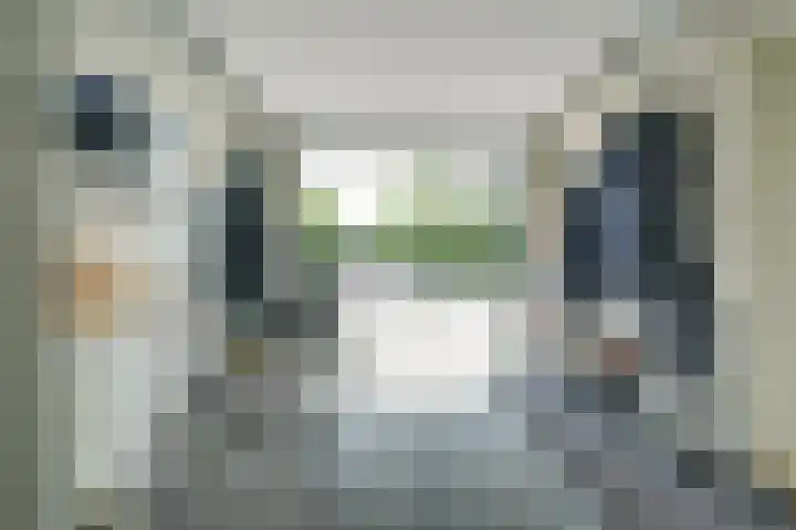Papegaai 33 Breda thumbnail 55