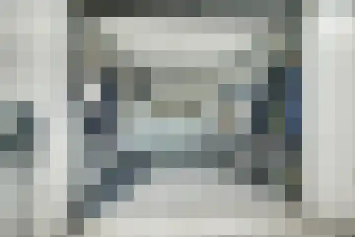 Papegaai 33 Breda thumbnail 56
