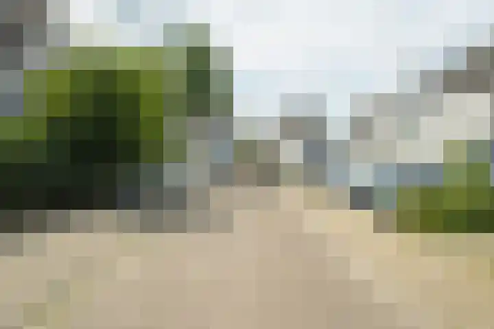 Papegaai 33 Breda thumbnail 57