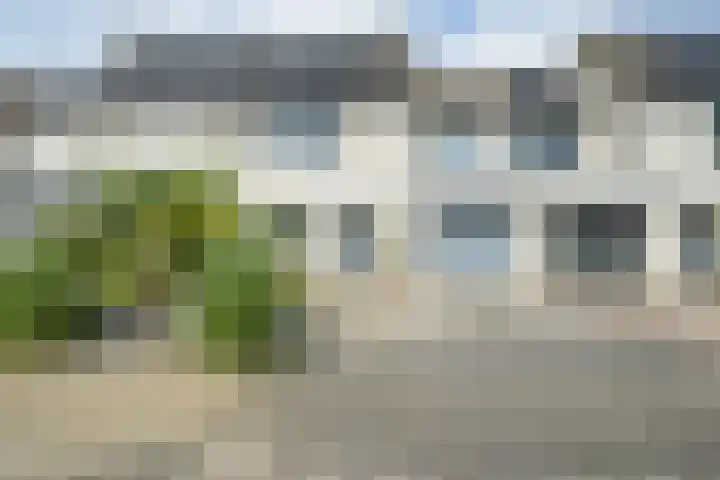 Papegaai 33 Breda thumbnail 58