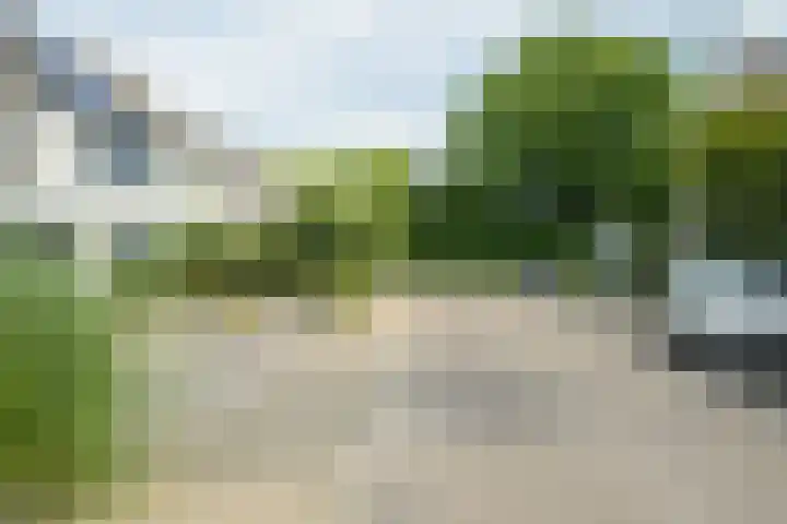 Papegaai 33 Breda thumbnail 60