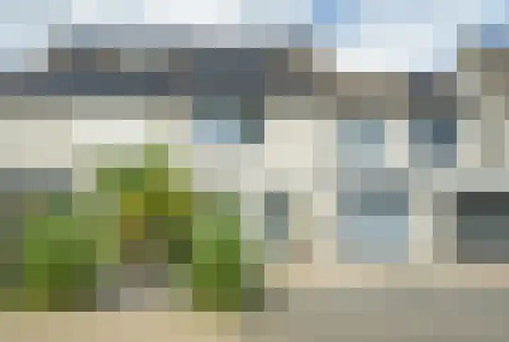 Papegaai 33 Breda thumbnail 61