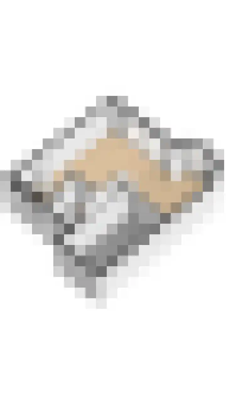 Papegaai 33 Breda thumbnail 65