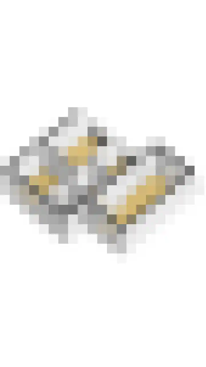 Papegaai 33 Breda thumbnail 66