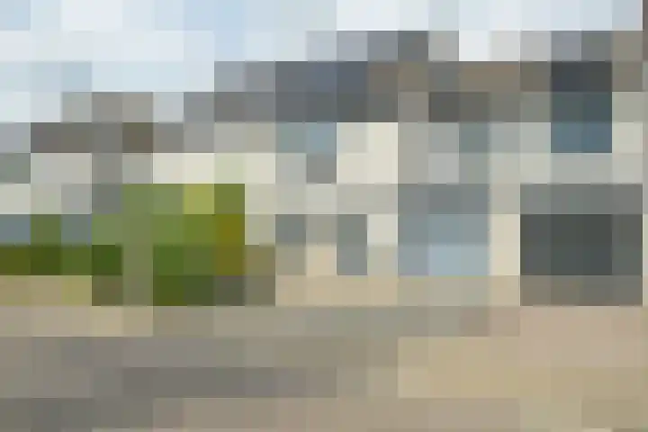 Papegaai 33 Breda thumbnail 68