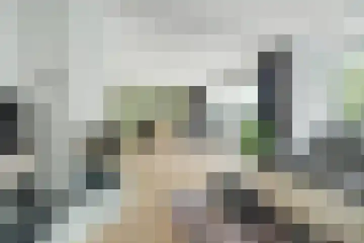 Papegaai 33 Breda thumbnail 8