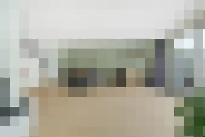 Papegaai 33 Breda thumbnail 9