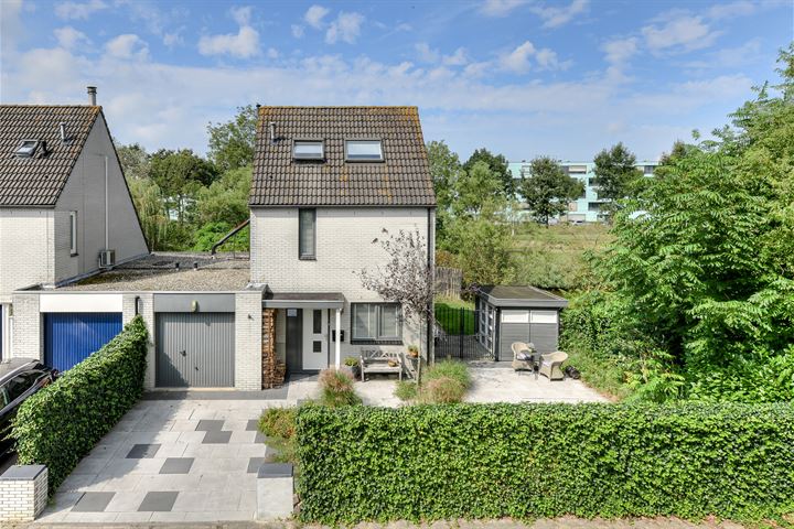 Papegaai 39 in Breda Foto