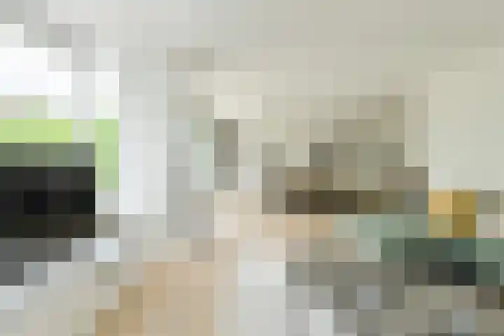 Papegaai 40 Breda thumbnail 13