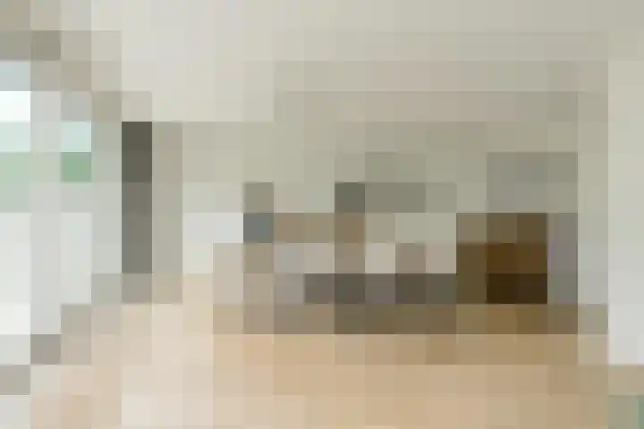 Papegaai 40 Breda thumbnail 14