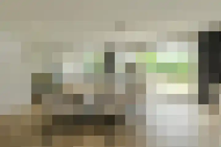 Papegaai 40 Breda thumbnail 16