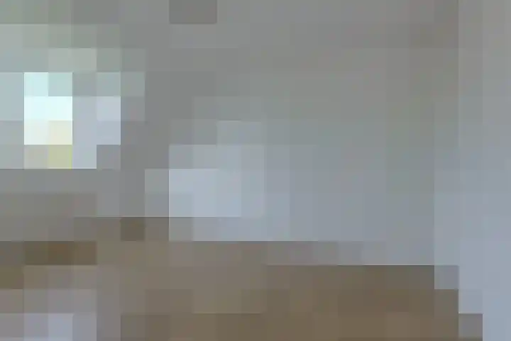 Papegaai 40 Breda thumbnail 22