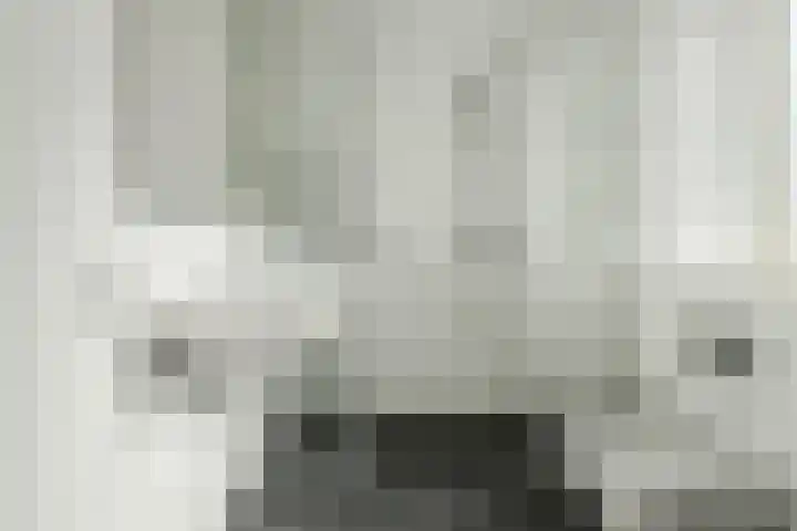 Papegaai 40 Breda thumbnail 24
