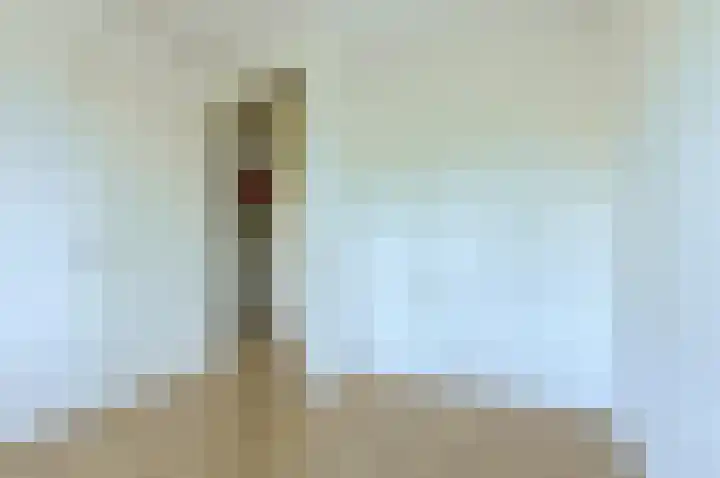 Papegaai 40 Breda thumbnail 28