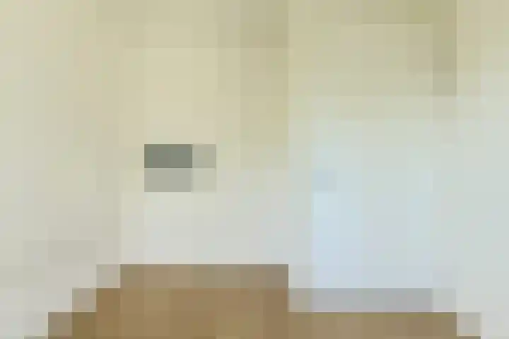 Papegaai 40 Breda thumbnail 30