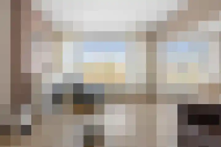 Papegaai 40 Breda thumbnail 32