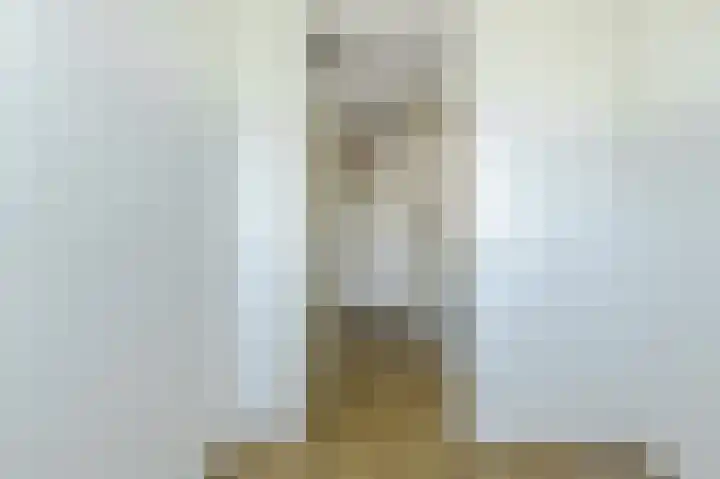 Papegaai 40 Breda thumbnail 32