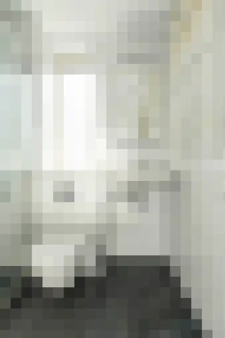 Papegaai 40 Breda thumbnail 33