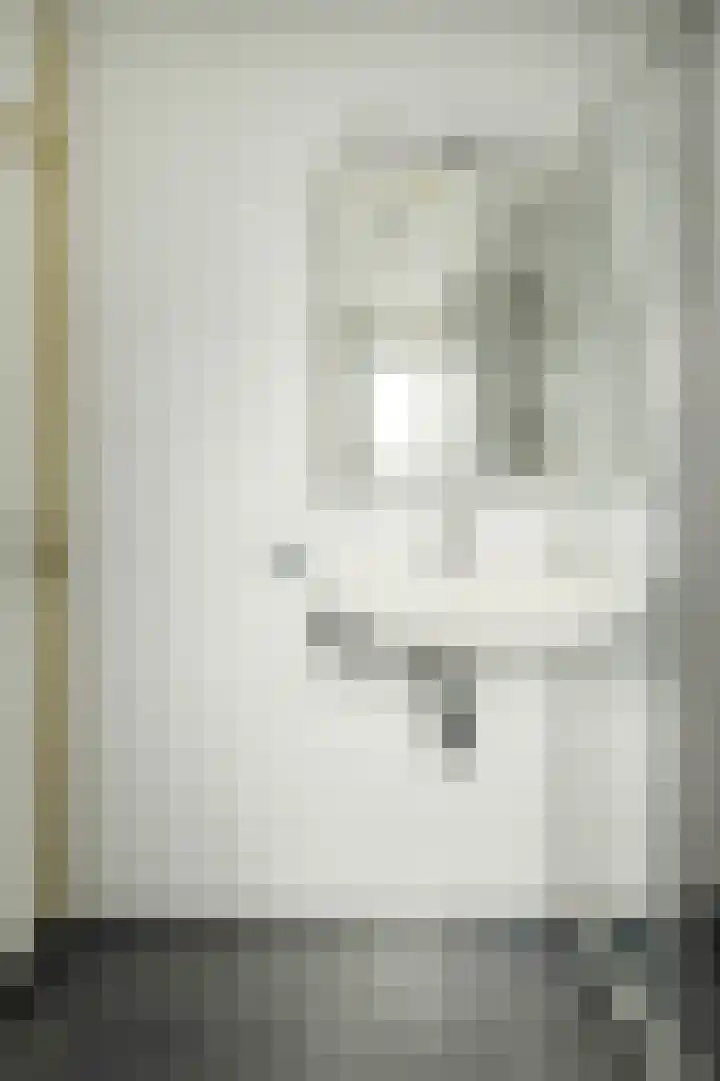 Papegaai 40 Breda thumbnail 34