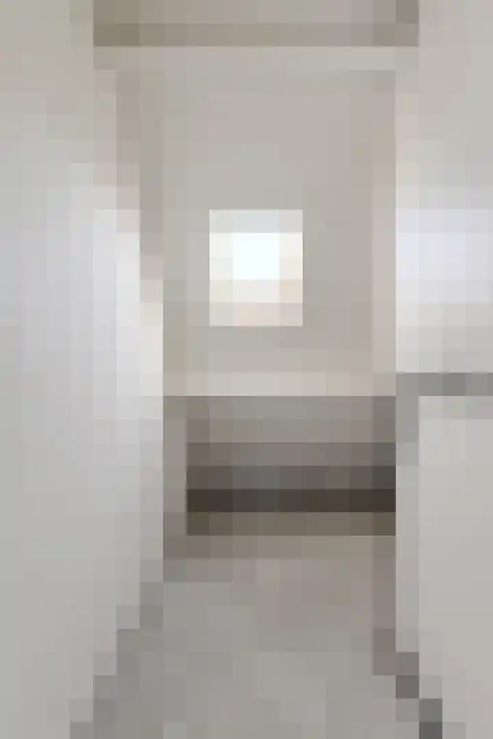 Papegaai 40 Breda thumbnail 36