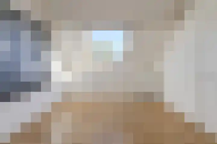 Papegaai 40 Breda thumbnail 38