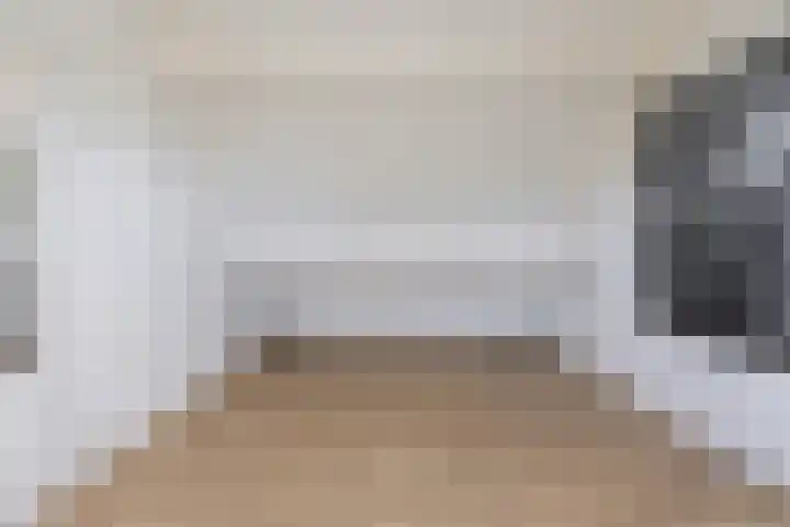 Papegaai 40 Breda thumbnail 39