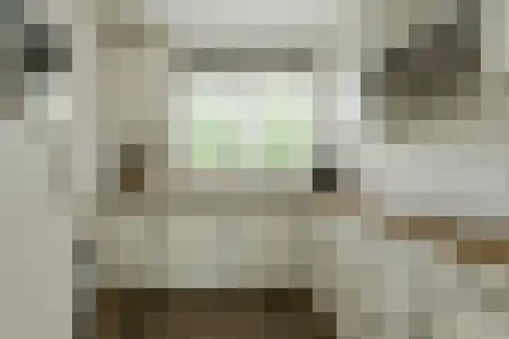 Papegaai 40 Breda thumbnail 4