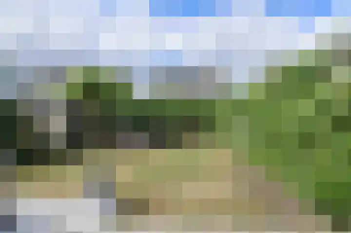 Papegaai 40 Breda thumbnail 42