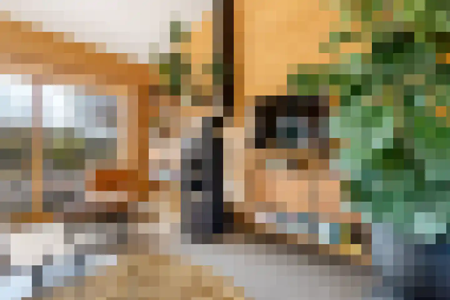 Papegaai 40 Breda thumbnail 44