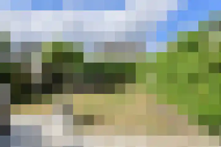 Papegaai 40 Breda thumbnail 46