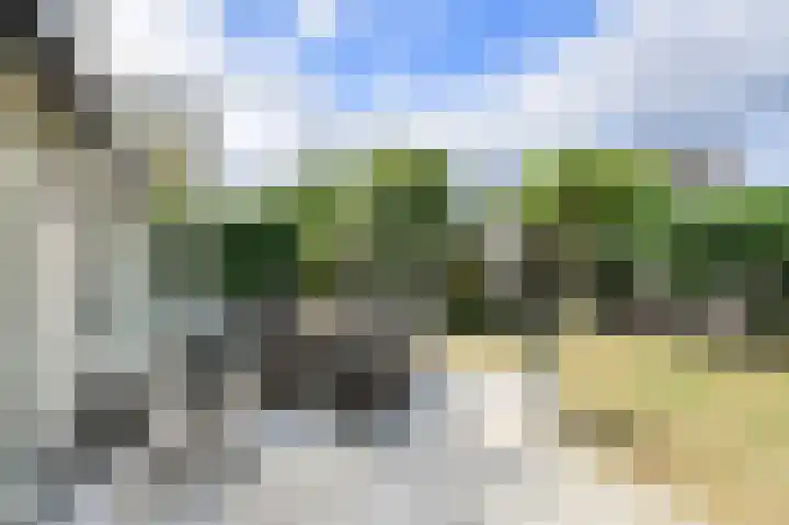 Papegaai 40 Breda thumbnail 47